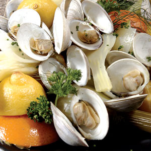 Recetas saludables con almejas y sus propiedades