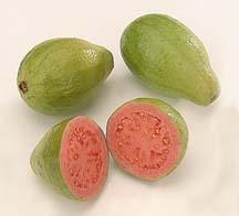 Propiedades nutritivas y recetas con guayaba