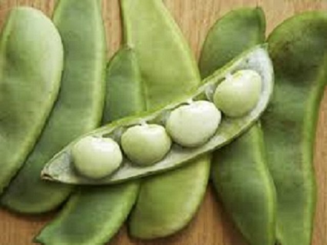 Recetas saludables con habas y sus propiedades