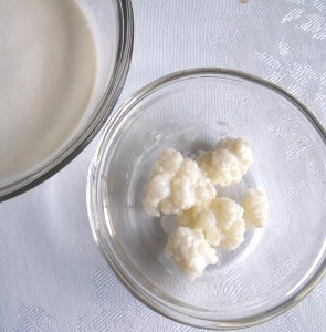 Recetas saludables con Kéfir y sus propiedades