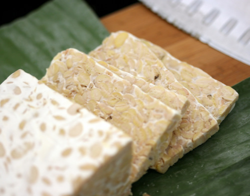 Recetas saludables con tempeh y sus propiedades