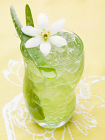Recetas saludables con aloe vera o sábila y sus propiedades
