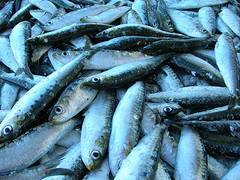 Recetas saludables con sardina