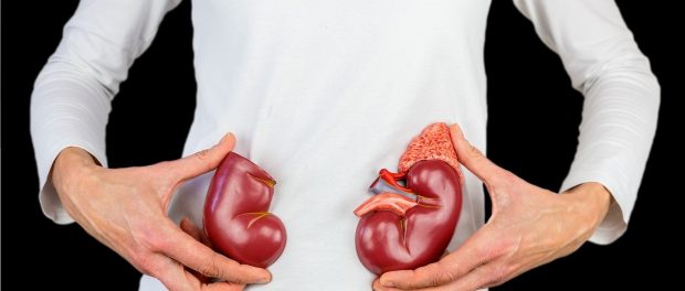 Dieta para las personas con insuficiencia renal