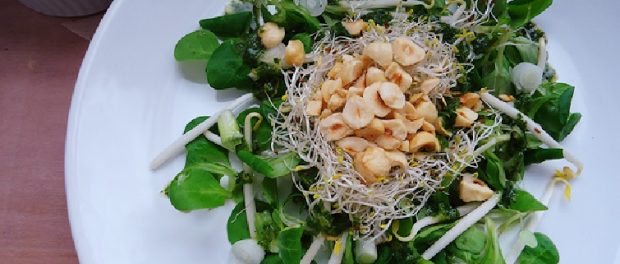 recetas con alfalfa